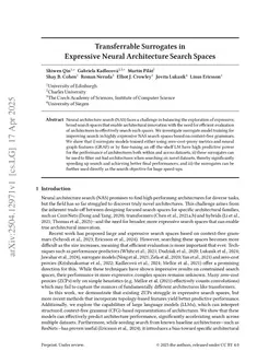 Transferrable Surrogates in Expressive Neural Architecture Search Spaces