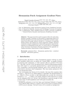 Riemannian Patch Assignment Gradient Flows