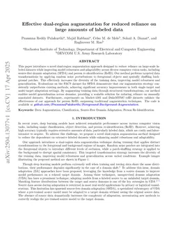 Effective Dual-Region Augmentation for Reduced Reliance on Large Amounts of Labeled Data
