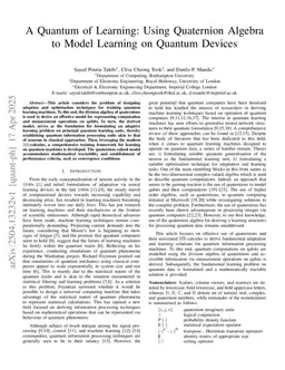 A Quantum of Learning: Using Quaternion Algebra to Model Learning on Quantum Devices