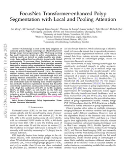 FocusNet: Transformer-enhanced Polyp Segmentation with Local and Pooling Attention