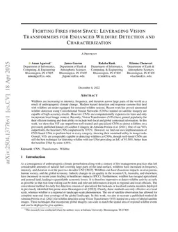 Fighting Fires from Space: Leveraging Vision Transformers for Enhanced Wildfire Detection and Characterization