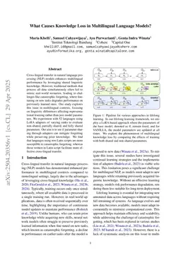 What Causes Knowledge Loss in Multilingual Language Models?