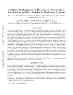 SCOPE-MRI: Bankart Lesion Detection as a Case Study in Data Curation and Deep Learning for Challenging Diagnoses