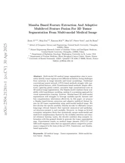 Mamba Based Feature Extraction And Adaptive Multilevel Feature Fusion For 3D Tumor Segmentation From Multi-modal Medical Image