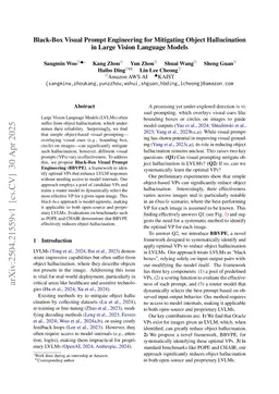 Black-Box Visual Prompt Engineering for Mitigating Object Hallucination in Large Vision Language Models