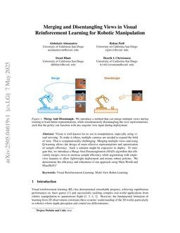 Merging and Disentangling Views in Visual Reinforcement Learning for Robotic Manipulation