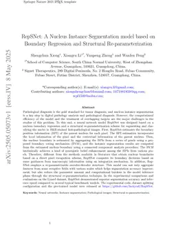 RepSNet: A Nucleus Instance Segmentation model based on Boundary Regression and Structural Re-parameterization