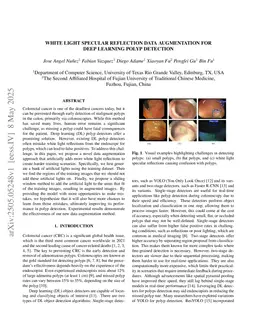 White Light Specular Reflection Data Augmentation for Deep Learning Polyp Detection