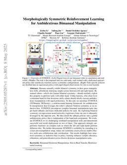 Morphologically Symmetric Reinforcement Learning for Ambidextrous Bimanual Manipulation