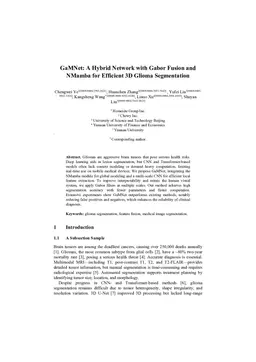 GaMNet: A Hybrid Network with Gabor Fusion and NMamba for Efficient 3D Glioma Segmentation