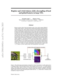 Register and [CLS] tokens yield a decoupling of local and global features in large ViTs
