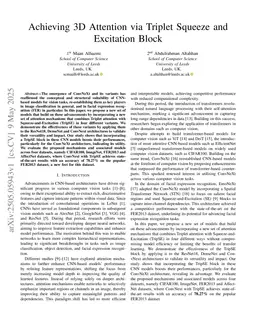 Achieving 3D Attention via Triplet Squeeze and Excitation Block