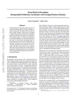 From Pixels to Perception: Interpretable Predictions via Instance-wise Grouped Feature Selection