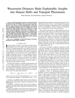 Wasserstein Distances Made Explainable: Insights into Dataset Shifts and Transport Phenomena