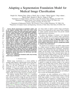 Adapting a Segmentation Foundation Model for Medical Image Classification