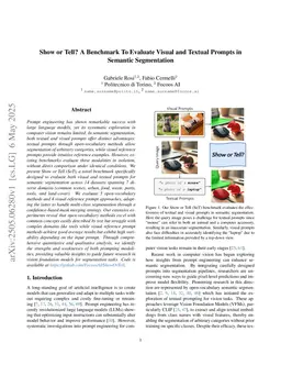 Show or Tell? A Benchmark To Evaluate Visual and Textual Prompts in Semantic Segmentation