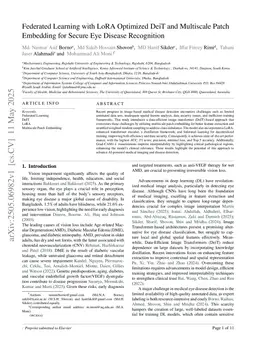 Decentralized LoRA Augmented Transformer with Context-aware Multi-scale Feature Learning for Secured Eye Diagnosis