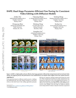 DAPE: Dual-Stage Parameter-Efficient Fine-Tuning for Consistent Video Editing with Diffusion Models