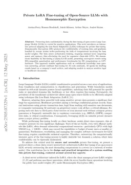 Private LoRA Fine-tuning of Open-Source LLMs with Homomorphic Encryption