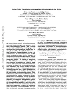 Higher-Order Convolution Improves Neural Predictivity in the Retina