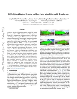 RDD: Robust Feature Detector and Descriptor using Deformable Transformer