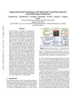 Empowering Vision Transformers with Multi-Scale Causal Intervention for Long-Tailed Image Classification