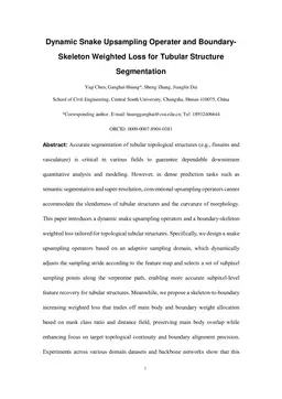 Dynamic Snake Upsampling Operater and Boundary-Skeleton Weighted Loss for Tubular Structure Segmentation