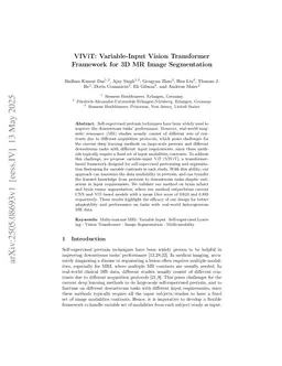 VIViT: Variable-Input Vision Transformer Framework for 3D MR Image Segmentation