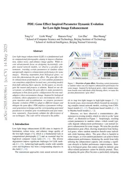 PDE: Gene Effect Inspired Parameter Dynamic Evolution for Low-light Image Enhancement