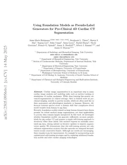 Using Foundation Models as Pseudo-Label Generators for Pre-Clinical 4D Cardiac CT Segmentation