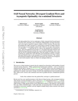 SAD Neural Networks: Divergent Gradient Flows and Asymptotic Optimality via o-minimal Structures