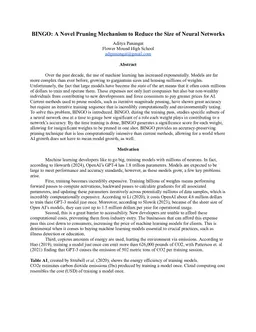 BINGO: A Novel Pruning Mechanism to Reduce the Size of Neural Networks