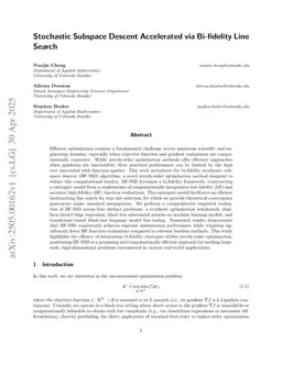 Stochastic Subspace Descent Accelerated via Bi-fidelity Line Search