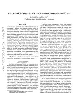 Fine-grained spatial-temporal perception for gas leak segmentation