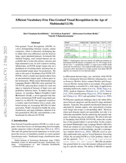 Efficient Vocabulary-Free Fine-Grained Visual Recognition in the Age of Multimodal LLMs