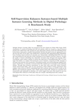 Self-Supervision Enhances Instance-based Multiple Instance Learning Methods in Digital Pathology: A Benchmark Study