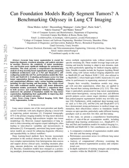 Can Foundation Models Really Segment Tumors? A Benchmarking Odyssey in Lung CT Imaging