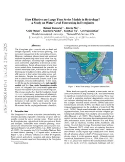 How Effective are Large Time Series Models in Hydrology? A Study on Water Level Forecasting in Everglades
