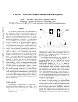 CVVNet: A Cross-Vertical-View Network for Gait Recognition