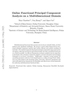 Online Functional Principal Component Analysis on a Multidimensional Domain