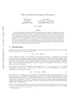 Mirror Mean-Field Langevin Dynamics