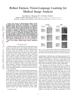 Robust Fairness Vision-Language Learning for Medical Image Analysis