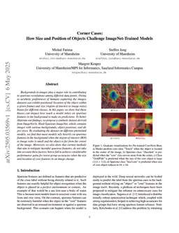 Corner Cases: How Size and Position of Objects Challenge ImageNet-Trained Models