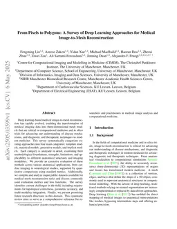 From Pixels to Polygons: A Survey of Deep Learning Approaches for Medical Image-to-Mesh Reconstruction