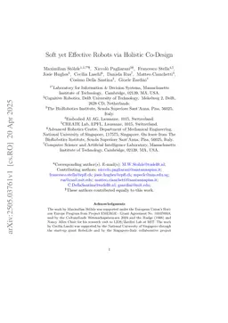 Soft yet Effective Robots via Holistic Co-Design