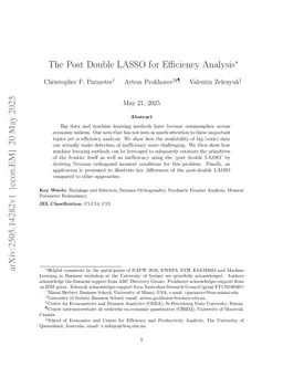The Post Double LASSO for Efficiency Analysis