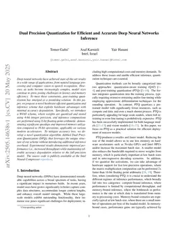 Dual Precision Quantization for Efficient and Accurate Deep Neural Networks Inference