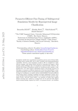 Parameter-Efficient Fine-Tuning of Multispectral Foundation Models for Hyperspectral Image Classification