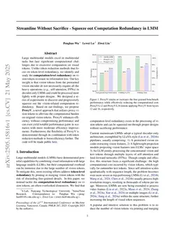 Streamline Without Sacrifice - Squeeze out Computation Redundancy in LMM